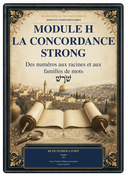 Module H - Concordance, Strong et lexiques